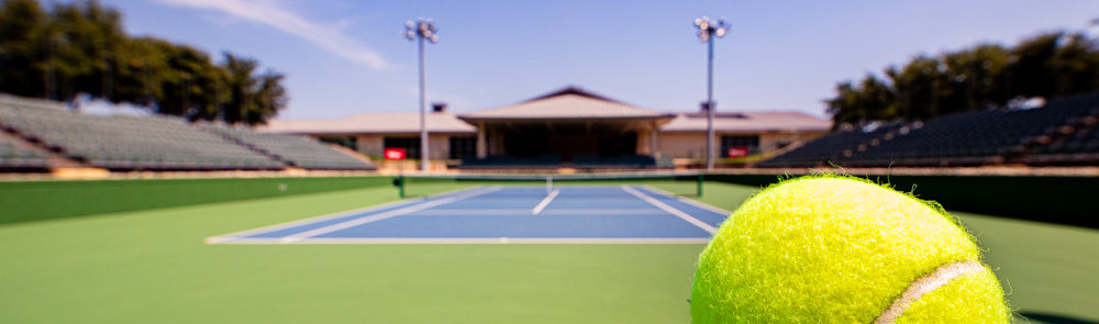tennis cover (1 of 1)